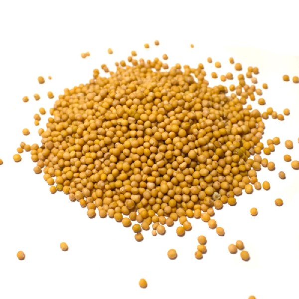 Mustard-yellow mustard seed 50g
